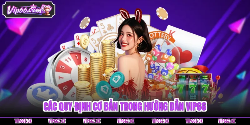 Các quy định cơ bản trong Hướng Dẫn Vip66